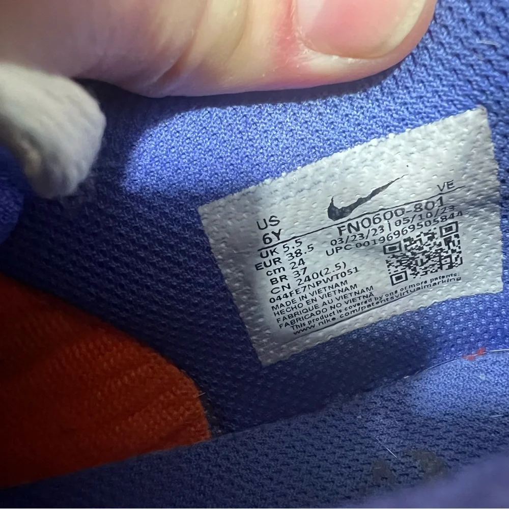 Nike Dunk Low SE Everything You Need Orange White Blue Pink Sneakers 6Y